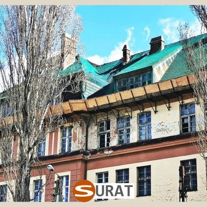 Siatki na stare dachy — Skuteczne zabezpieczenie każdego starego dachu na wymiar, sklep Surat