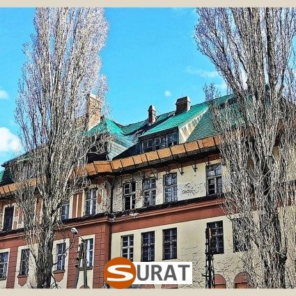   Surat - Siatki na stare dachy w wymiarze 10x10 cm z grubością 5 mm, wykonane z trwałego materiału w kolorze zielonym lub czarnym, dostępne na wymiar dla skutecznej ochrony. 
