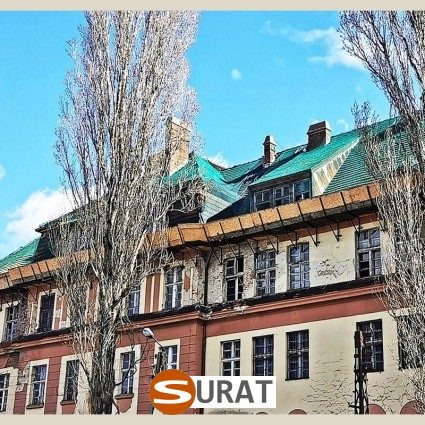 siatka budowlana o podwyższonej wytrzymałości, sklep Surat