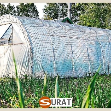   Siatka na tunel foliowy — Zabezpieczenie uprawy bez kompromisów , sklep Surat
