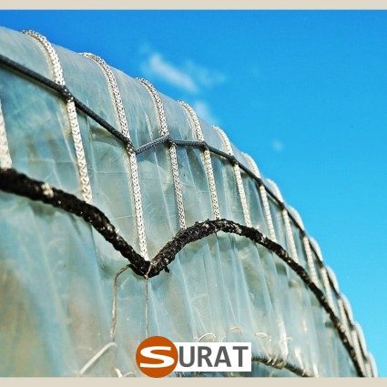  Surat - , 