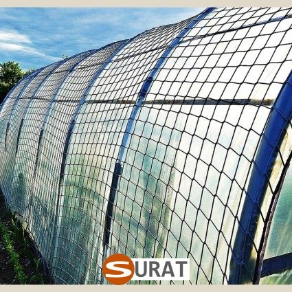  Surat - , 