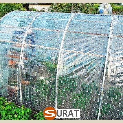  Surat - , 