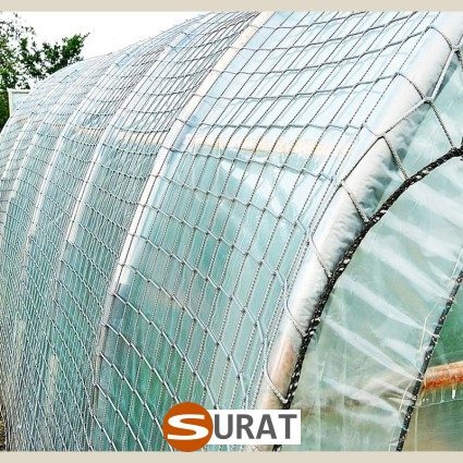  Surat - , 