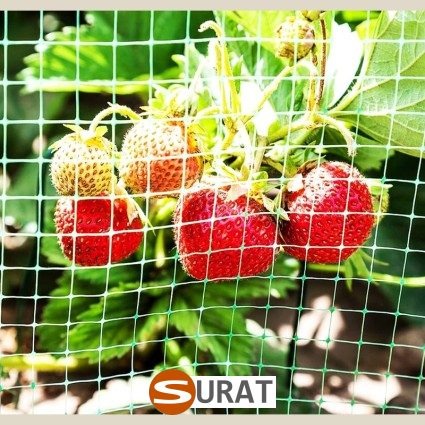 Twój ogród zasługuje na estetyczne i praktyczne rozwiązania, które nadadzą mu niepowtarzalny charakter. Wybór…, sklep Surat