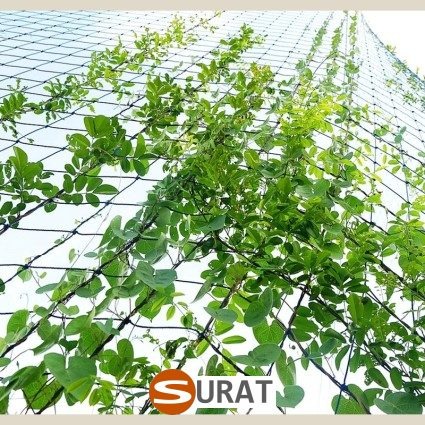  Surat - Wystrój w ogrodzie siatką 