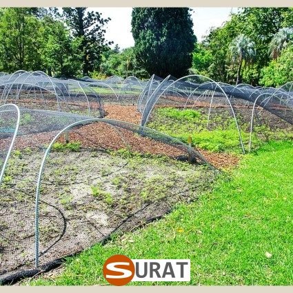 Ogrodzenia ogródek uprawny — Produkcja na wymiar z myślą o zabezpieczeniu, sklep Surat