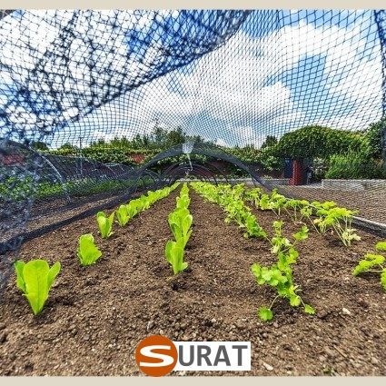 Ogrodzenia ogródek uprawny — Produkcja na wymiar z myślą o zabezpieczeniu, sklep Surat