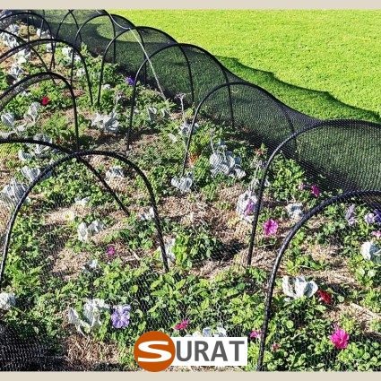  Surat - Ogrodzenie działki uprawnej 