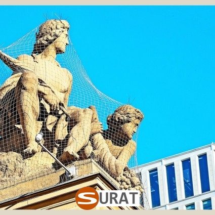   Surat - Siatka - 4x4/2 