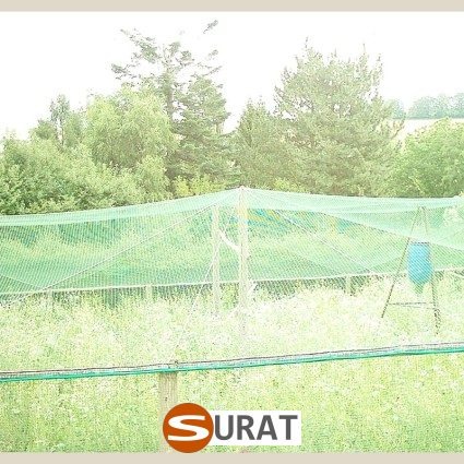  Surat - Ogrodzenie dla kaczek 
