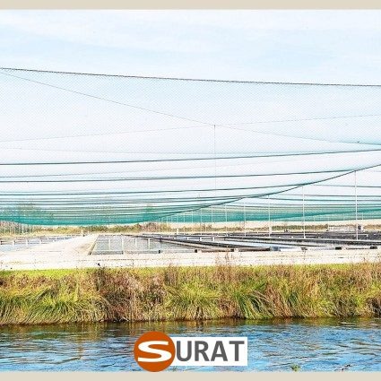  Surat - Siatki dla kur - Siatki zabezpieczające hodowle kur 
