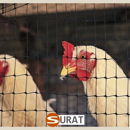  Surat - Siatka na woliery - Budowa woliery z siatki - Zadaszenie woliery siatką 