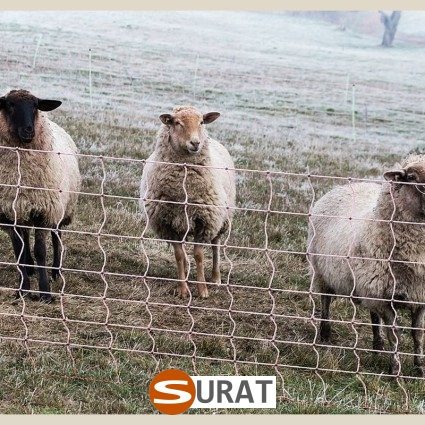   Siatki hodowlane — Niezawodna ochrona w każdych wymiarach , sklep Surat