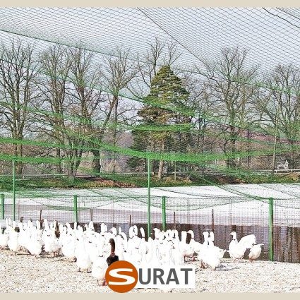 Potrzebujesz skutecznego rozwiązania, które zabezpieczy Twoje uprawy lub zwierzęta? Siatki hodowlane to uniwersalny i…, sklep Surat