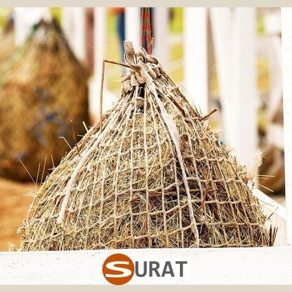   Surat - Siatka - 10x10/4 