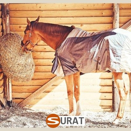 szeroki asortyment siatek dla branży budowlanej, sklep Surat