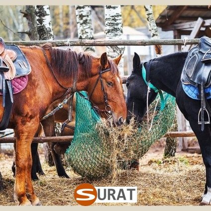   Surat - Siatka - 4x4/2 