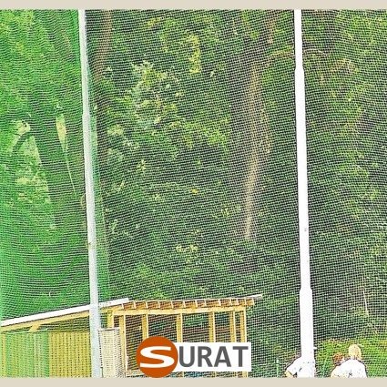  Surat - Ogrodzenia Boisk w formie siatki 10x10cm z polipropylenu o grubości 6mm w kolorze zielonym, dostępne na wymiar, stanowiące trwałe rozwiązanie. 
