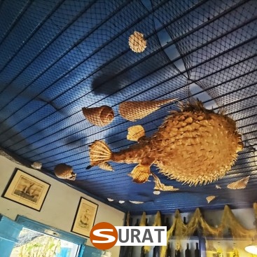  Surat - Siatki na lodowisko 