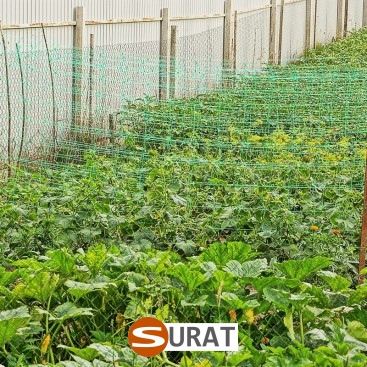   Surat - Siatka ochronna z tworzywa o małych oczkach 2x2 cm i grubości 2 mm, idealna do zabezpieczeń na drogach i autostradach. 
