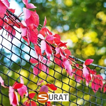   Surat - Siatka z polipropylenu do ochrony autostrad i dróg, o oczkach 10x10 cm i grubości 6 mm, w kolorze zielonym. 