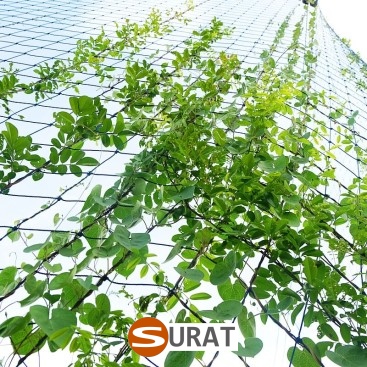   Surat - Siatka z polipropylenu do ochrony autostrad i dróg, o oczkach 10x10 cm i grubości 6 mm, w kolorze zielonym. 