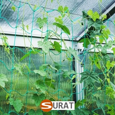   Surat - Siatka na autostrady i drogi z polipropylenu, 2mm grubości, w kolorze zielonym, z oczkiem 2x2cm, sprzedawana na wymiar. 