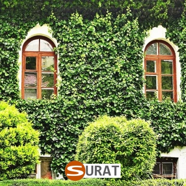  Surat - Siatka na autostradę i drogę 