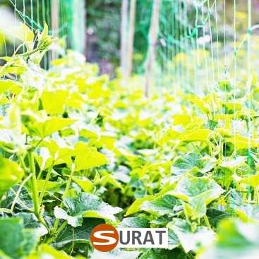   Surat - Siatka na autostrady i drogi z polipropylenu, grubość 4mm, oczko 45x45 mm, dostępna w twoje wymiary na zamówienie. 