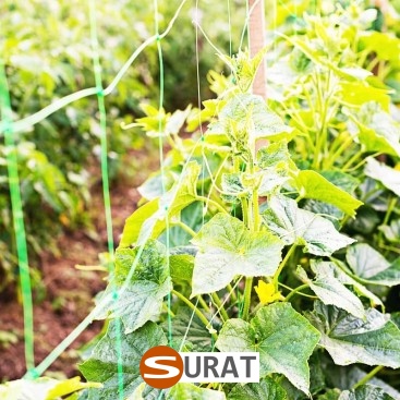   Surat - Siatka ochronna na autostrady i drogi do ochrony z polipropylenu o oczku 1x1 cm 