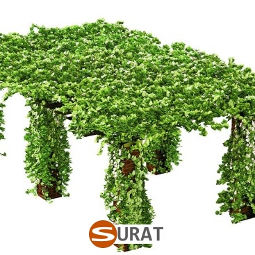  Surat - Siatka na autostrady i drogi z polipropylenu, grubości 4mm, o oczkach 6x6cm, dostępna w kolorach zielonym i grafitowym, sprzedawana na twój własny wymiar. 