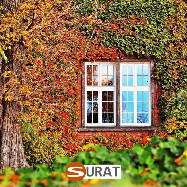   Surat - Siatka na autostrady i drogi z polipropylenu, 2mm grubości, w kolorze zielonym, z oczkiem 2x2cm, sprzedawana na wymiar. 