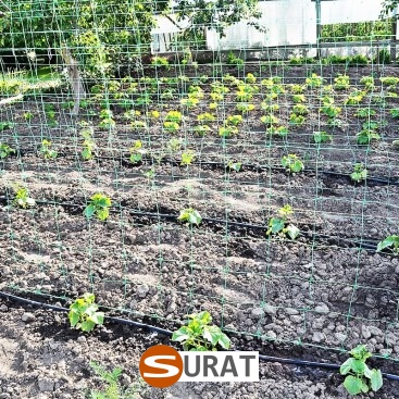   Surat - Siatka na autostrady i drogi: wytrzymała siatka z polipropylenu o oczkach 10x10 cm i grubości 5 mm, dostępna na wymiar w kolorach zielonym i czarnym. 