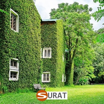  Surat - Siatka na autostradę i drogę 