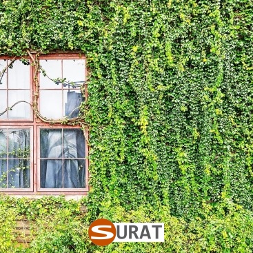   Surat - Siatka na autostrady i drogi z polipropylenu, grubości 3mm, o oczku 4,5x4,5cm, dostępna w różnych kolorach i sprzedawana na twoje wymiary. 