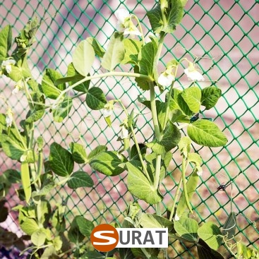   Surat - Siatka z polipropylenu do ochrony autostrad i dróg, o oczkach 10x10 cm i grubości 6 mm, w kolorze zielonym. 