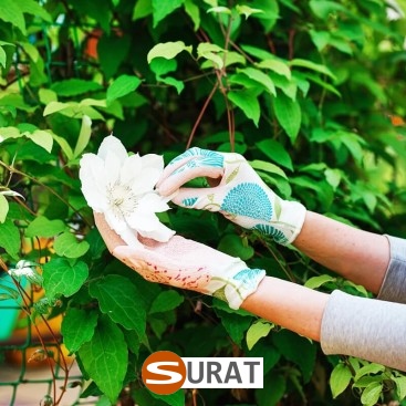   Surat - Siatka na autostrady i drogi z polipropylenu, 2mm grubości, w kolorze zielonym, z oczkiem 2x2cm, sprzedawana na wymiar. 