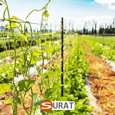  Surat - Siatka ochronna na autostrady i drogi do ochrony z polipropylenu o oczku 1x1 cm 