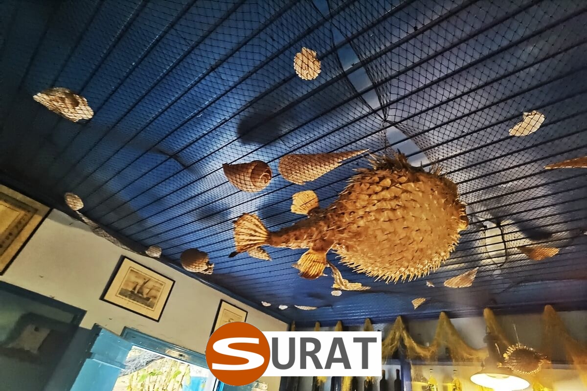  Surat - Siatki na lodowisko 