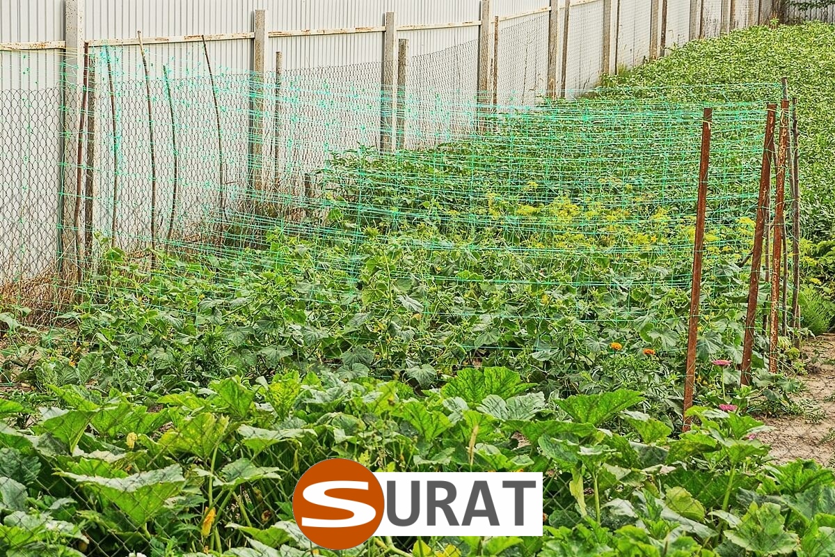   Surat - Siatka ochronna z tworzywa o małych oczkach 2x2 cm i grubości 2 mm, idealna do zabezpieczeń na drogach i autostradach. 