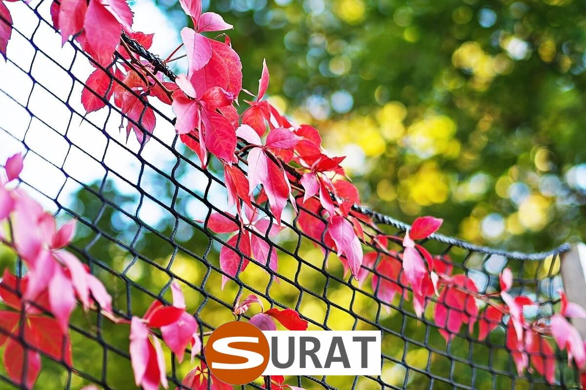   Surat - Siatka z polipropylenu do ochrony autostrad i dróg, o oczkach 10x10 cm i grubości 6 mm, w kolorze zielonym. 