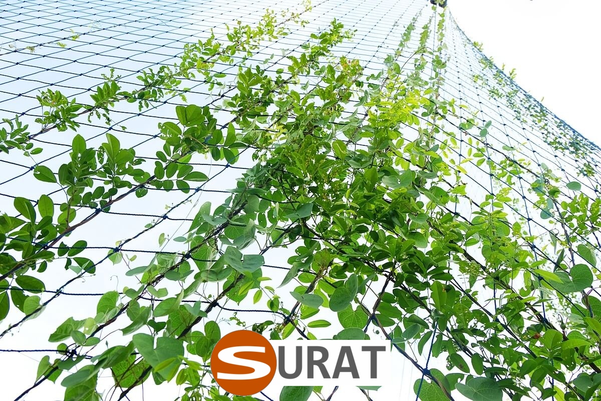   Surat - Siatka z polipropylenu do ochrony autostrad i dróg, o oczkach 10x10 cm i grubości 6 mm, w kolorze zielonym. 