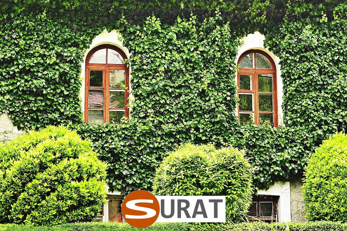  Surat - Siatka na autostradę i drogę 