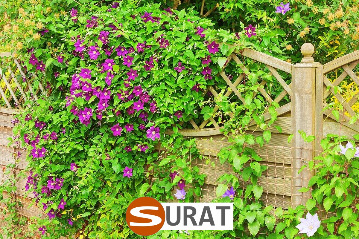   Surat - Siatka na autostrady i drogi z polipropylenu, grubości 3mm, o oczku 4,5x4,5cm, dostępna w różnych kolorach i sprzedawana na twoje wymiary. 