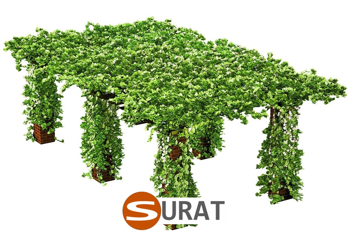  Surat - Siatka na autostrady i drogi z polipropylenu, grubości 4mm, o oczkach 6x6cm, dostępna w kolorach zielonym i grafitowym, sprzedawana na twój własny wymiar. 