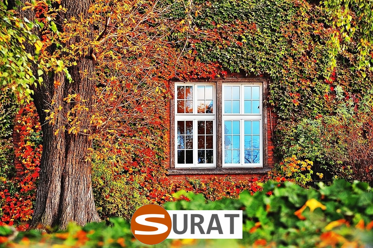   Surat - Siatka na autostrady i drogi z polipropylenu, 2mm grubości, w kolorze zielonym, z oczkiem 2x2cm, sprzedawana na wymiar. 