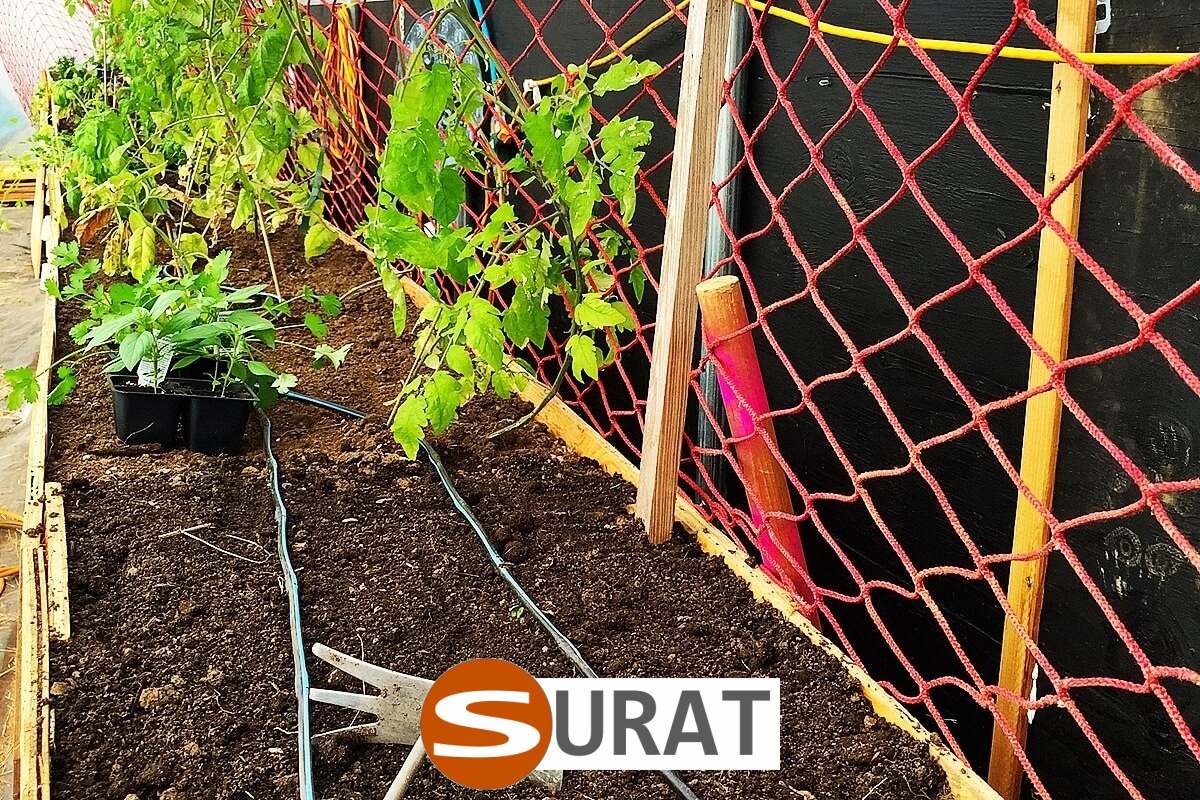  Surat - Siatka ochronna z tworzywa o małych oczkach 2x2 cm i grubości 2 mm, idealna do zabezpieczeń na drogach i autostradach. 