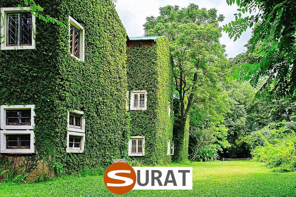  Surat - Siatka na autostradę i drogę 