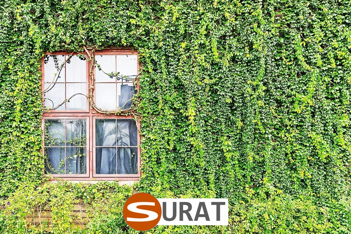   Surat - Siatka na autostrady i drogi z polipropylenu, grubości 3mm, o oczku 4,5x4,5cm, dostępna w różnych kolorach i sprzedawana na twoje wymiary. 